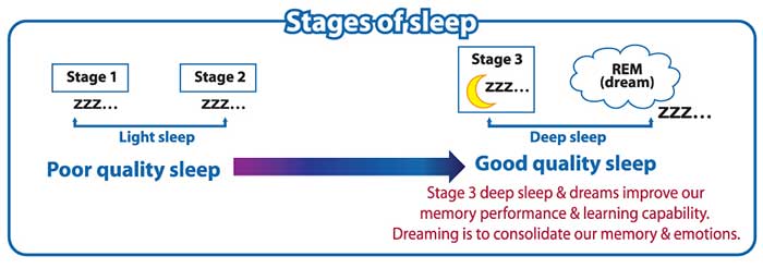 Stages of Sleep - SleepEzy - ESMo Technology